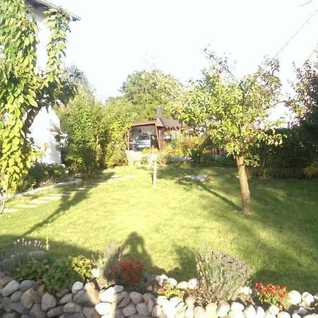 Familienfreundliche Wohnung In Vorland Mit Garten Dış mekan fotoğraf